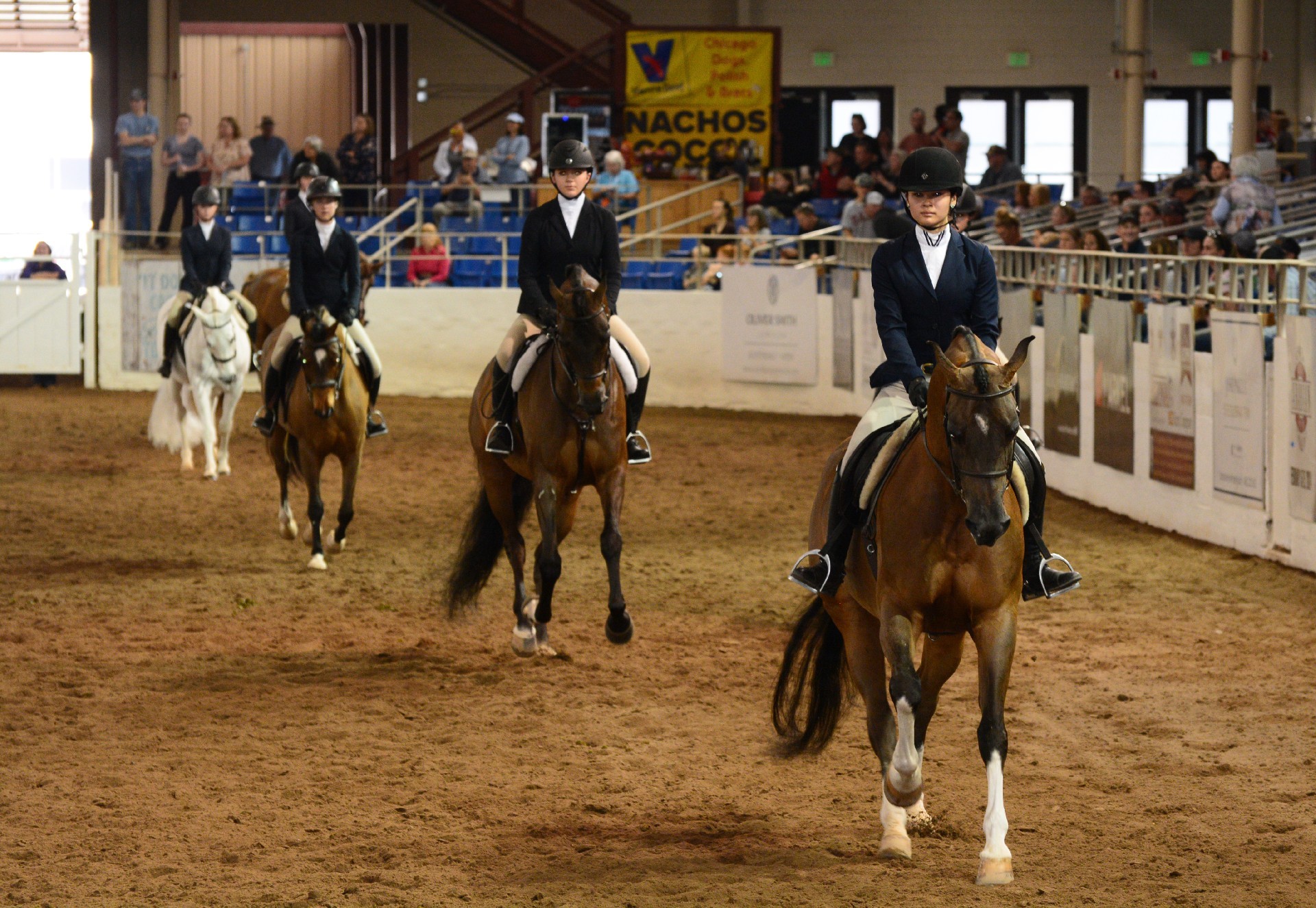 第69届斯科茨代尔阿拉伯马展在亚利桑那举行-亚省侨报, image size:1920x1325