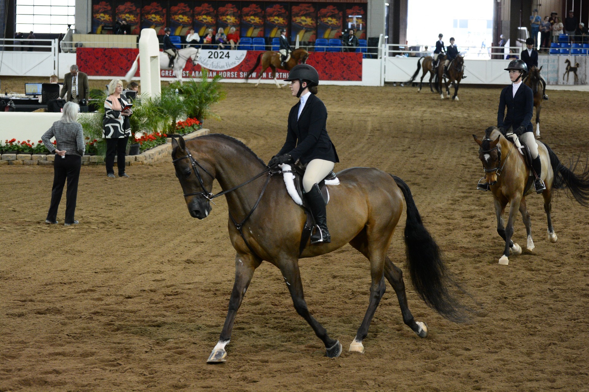 第69届斯科茨代尔阿拉伯马展在亚利桑那举行-亚省侨报, image size:1920x1281