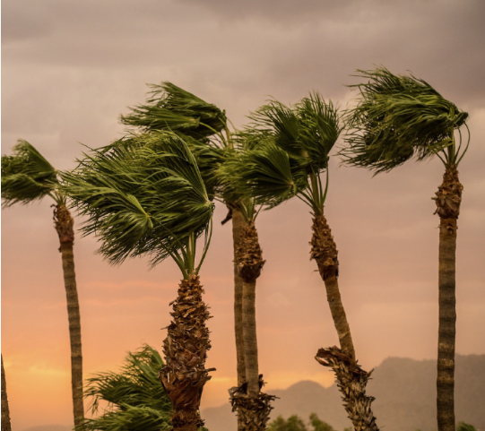 ASU华裔学生拍摄的亚利桑那季风